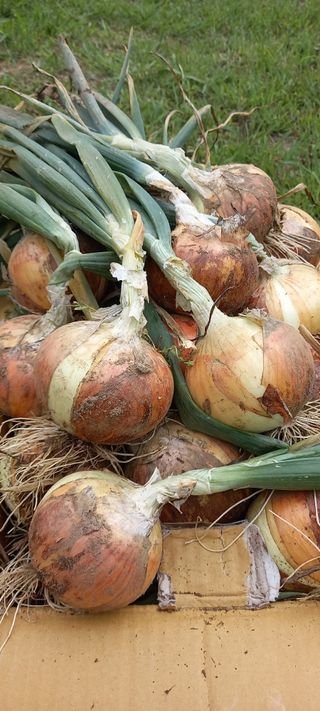 고병길님의 자유주제 · 자유게시판 작성글 사진