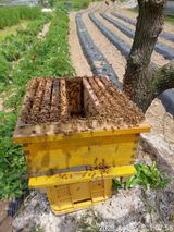 팜모닝 자유주제·자유게시판 게시글 이미지