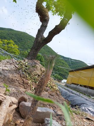 유병욱님의 자유주제 · 자유게시판 작성글 사진