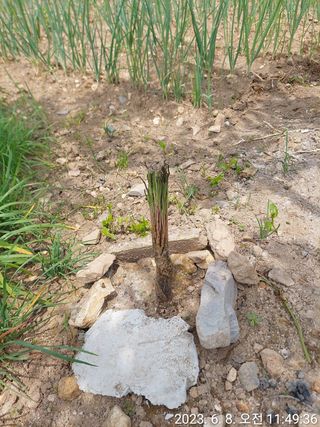 유병욱님의 자유주제 · 자유게시판 작성글 사진