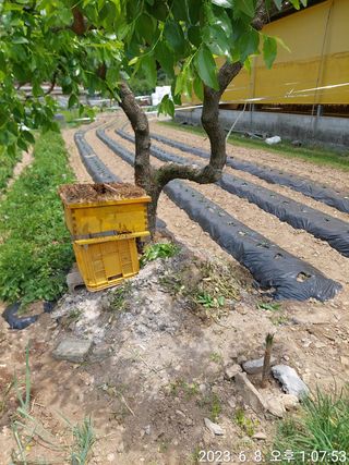 유병욱님의 자유주제 · 자유게시판 작성글 사진