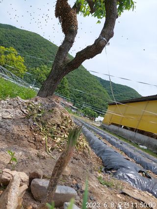 유병욱님의 자유주제 · 자유게시판 작성글 사진