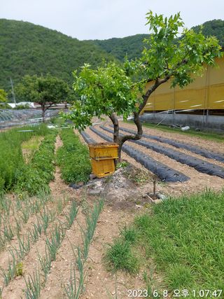 유병욱님의 자유주제 · 자유게시판 작성글 사진