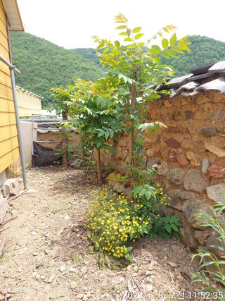 유병욱님의 자유주제 · 자유게시판 작성글 사진