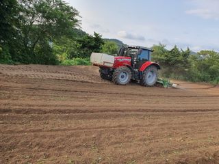 남산님의 콩 · 자유게시판 작성글 사진