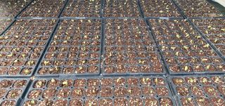 정응화님의 콩 · 자유게시판 작성글 사진