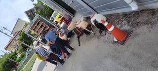 김중언님의 우리동네 · 동네자랑 작성글 사진