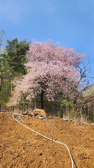 진공주님의 자유주제 · 사진전 작성글 사진