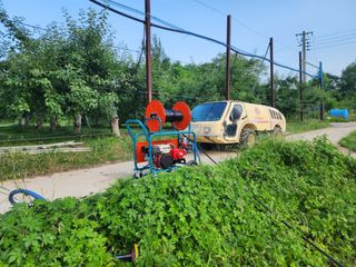 포항태추감님의 감 · 자유게시판 작성글 사진