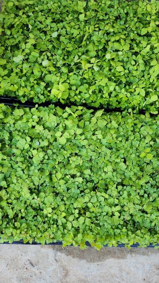 율촌 김은숙님의 자유주제 · 자유게시판 작성글 사진