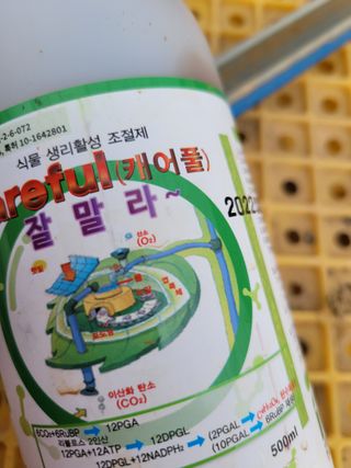 장미부인님의 농부님! 어떤 농약 쓰세요? · 참여 작성글 사진