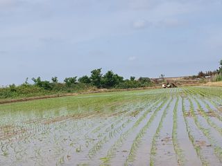 알 수 없음님의 기타작물 · 자유게시판 작성글 사진