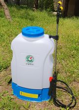 팜모닝 · 게시글 이미지