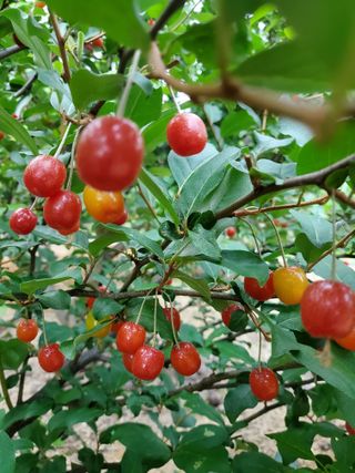 서정훈 님의 자유주제 · 자유게시판 작성글 사진