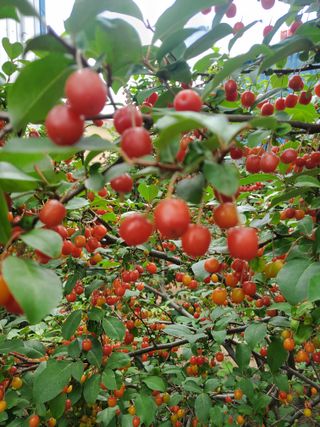 서정훈 님의 자유주제 · 자유게시판 작성글 사진