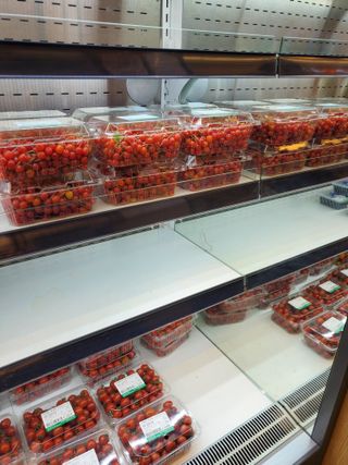 서정훈 님의 자유주제 · 자유게시판 작성글 사진