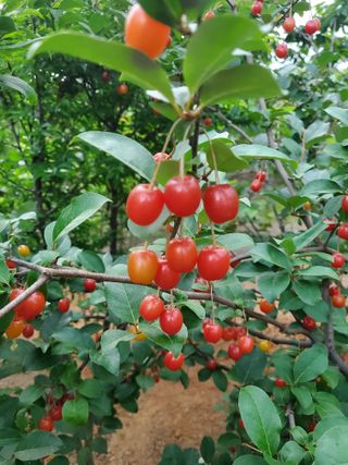 서정훈 님의 자유주제 · 자유게시판 작성글 사진