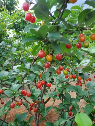 서정훈 님의 자유주제 · 자유게시판 작성글 사진