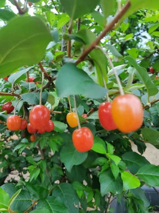 서정훈 님의 자유주제 · 자유게시판 작성글 사진