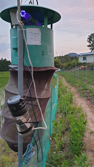 이봉수님의 고추 · 일상 작성글 사진