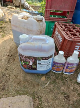 농민님의 오이 · 자유게시판 작성글 사진