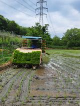 팜모닝 자유주제·자유게시판 게시글 이미지