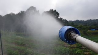 이봉수님의 고추 · 일상 작성글 사진