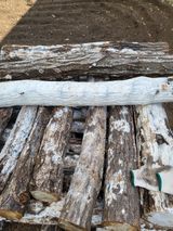 팜모닝 버섯·생장기 농작업 게시글 이미지