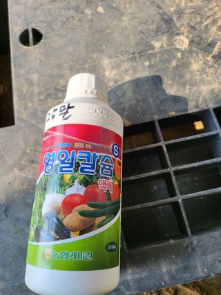 정용학님의 농부님! 어떤 농약 쓰세요? · 참여 작성글 사진