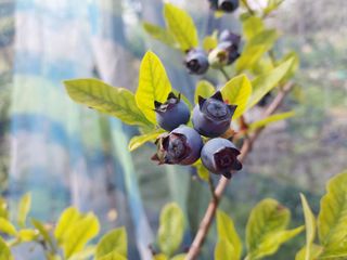 금동이네님의 기타작물 · 자유게시판 작성글 사진
