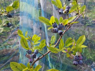 금동이네님의 기타작물 · 자유게시판 작성글 사진