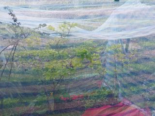 금동이네님의 기타작물 · 자유게시판 작성글 사진