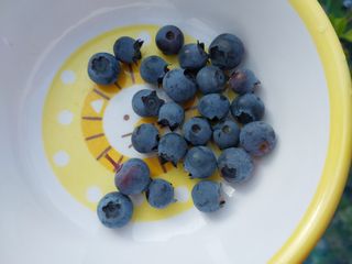 금동이네님의 기타작물 · 자유게시판 작성글 사진