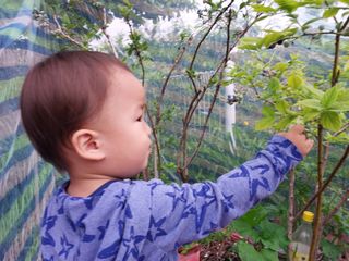 금동이네님의 기타작물 · 자유게시판 작성글 사진