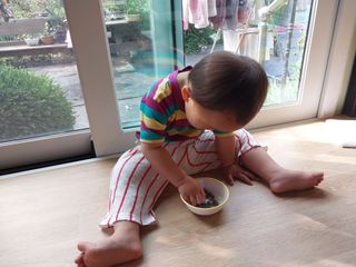 금동이네님의 기타작물 · 자유게시판 작성글 사진