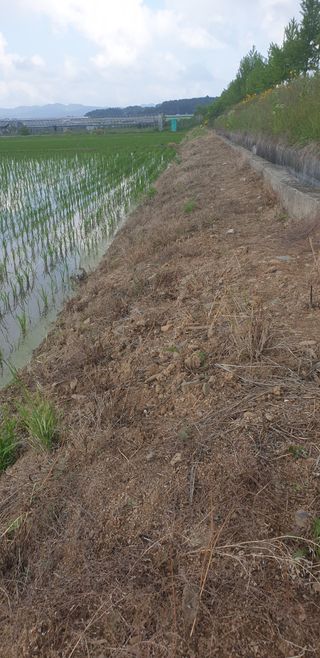 전명우님의 농부님! 어떤 농약 쓰세요? · 참여 작성글 사진