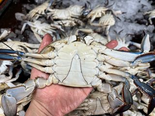 목포 물좋은수산님의 작성글 사진