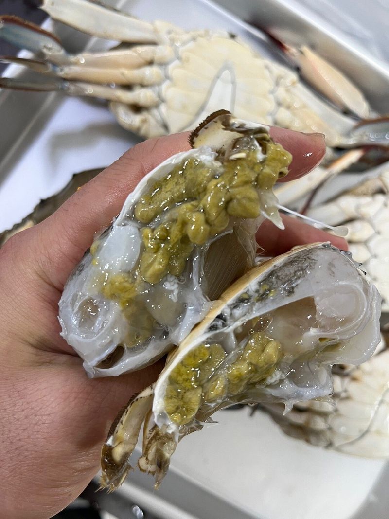 목포 물좋은수산님의 장터 판매 상품 [ (활) 숫꽃게1kg] 첨부 사진