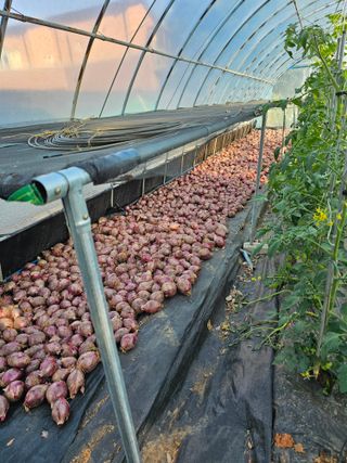 망운천지향토농원님의 자유주제 · 자유게시판 작성글 사진