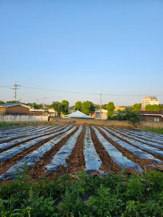 망운천지향토농원님의 자유주제 · 자유게시판 작성글 사진