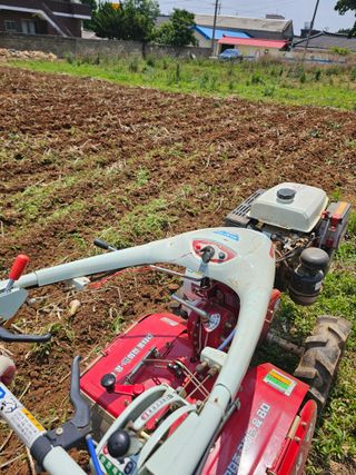 망운천지향토농원님의 자유주제 · 자유게시판 작성글 사진