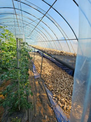 망운천지향토농원님의 자유주제 · 자유게시판 작성글 사진