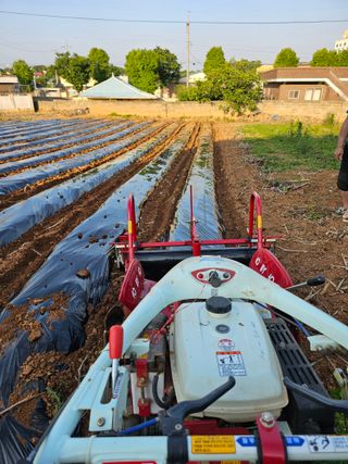 망운천지향토농원님의 자유주제 · 자유게시판 작성글 사진