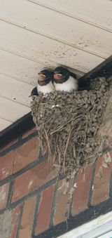 팜모닝 감자·자유게시판 게시글 이미지