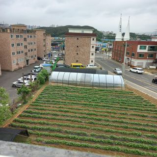 유인자님의 장터이야기 · 자유게시판 작성글 사진