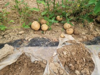 정장화님의 자유주제 · 자유게시판 작성글 사진