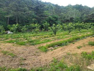 정장화님의 자유주제 · 자유게시판 작성글 사진