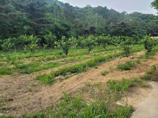 정장화님의 자유주제 · 자유게시판 작성글 사진