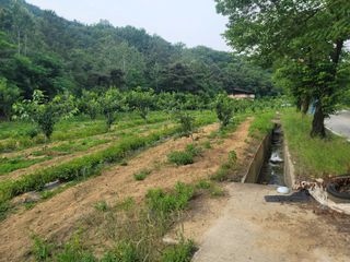 정장화님의 자유주제 · 자유게시판 작성글 사진