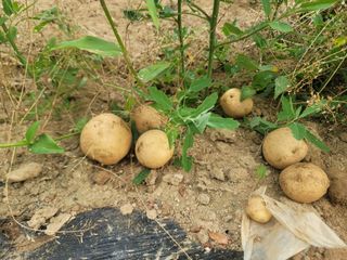 정장화님의 자유주제 · 자유게시판 작성글 사진